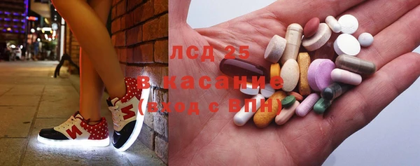 шишки Гусь-Хрустальный