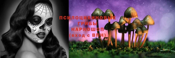 шишки Гусь-Хрустальный