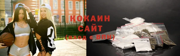 шишки Гусь-Хрустальный