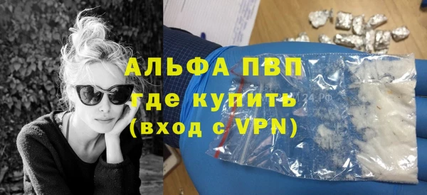 шишки Гусь-Хрустальный