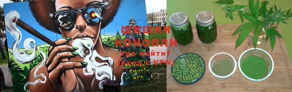 шишки Гусь-Хрустальный