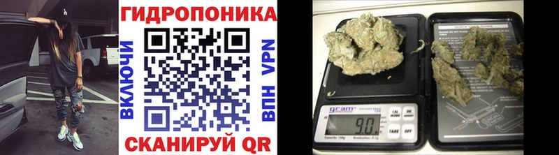 купить наркотики цена Окуловка Бошки Шишки SATIVA & INDICA